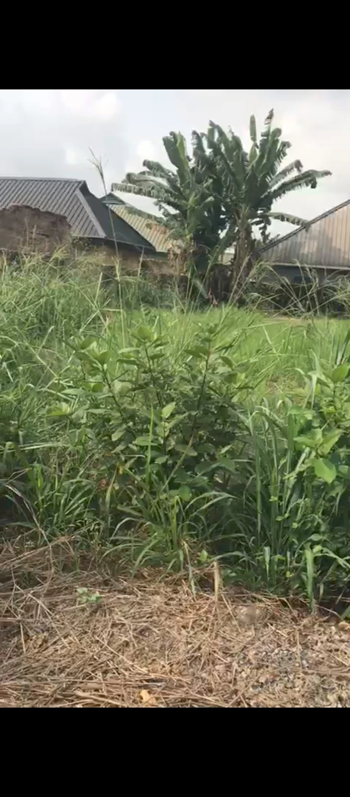Land for Sale in Biu Abuja quarter, Edo cover picture