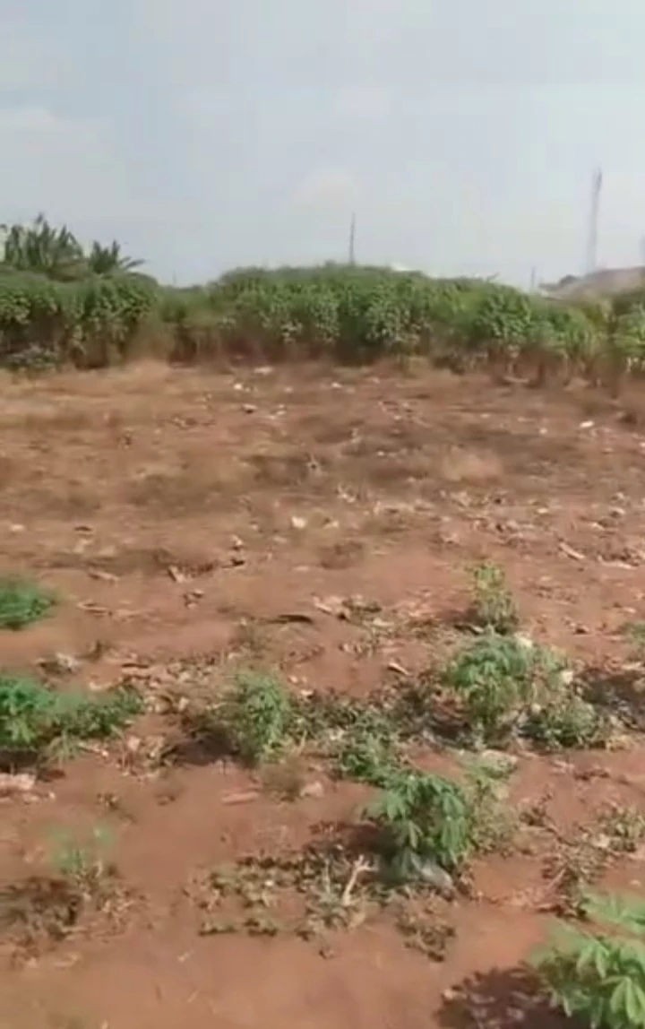 property cover photo