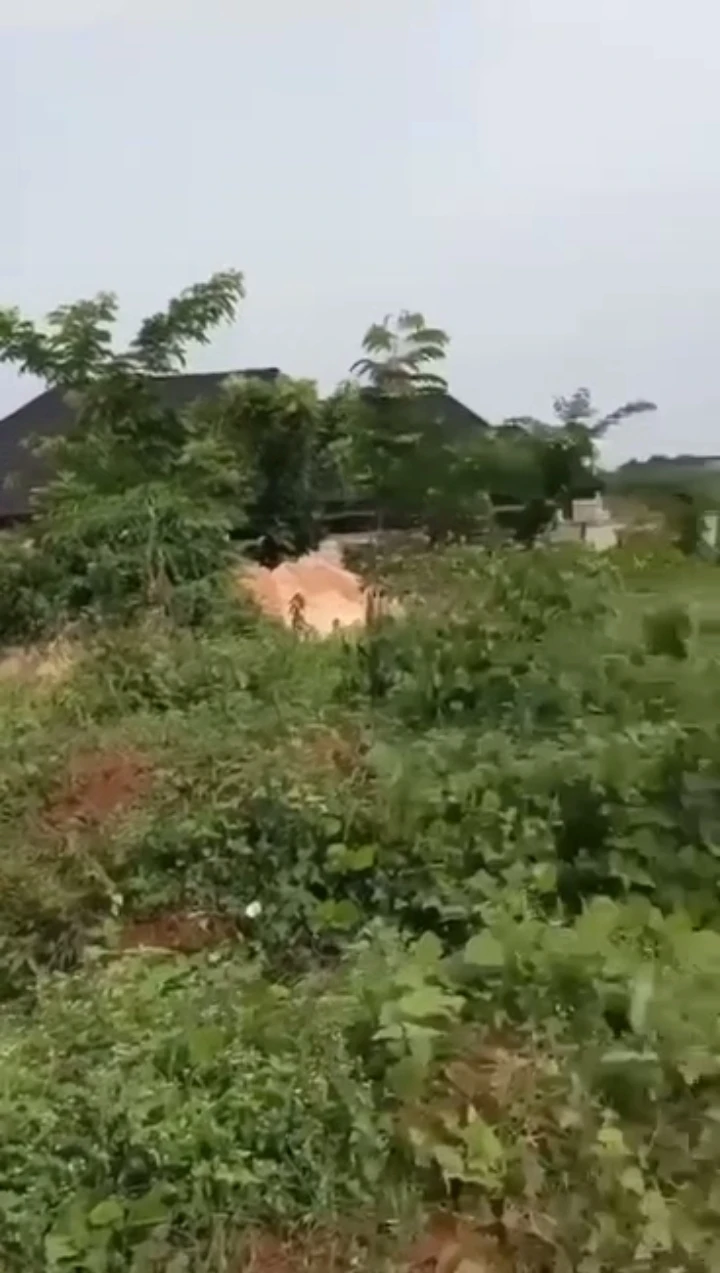 Land for Sale in Amagba, Edo cover picture