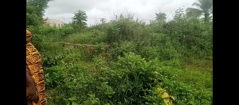 4 Bedroom Flat for Sale in URHOKUOSA ALONG, Edo cover picture