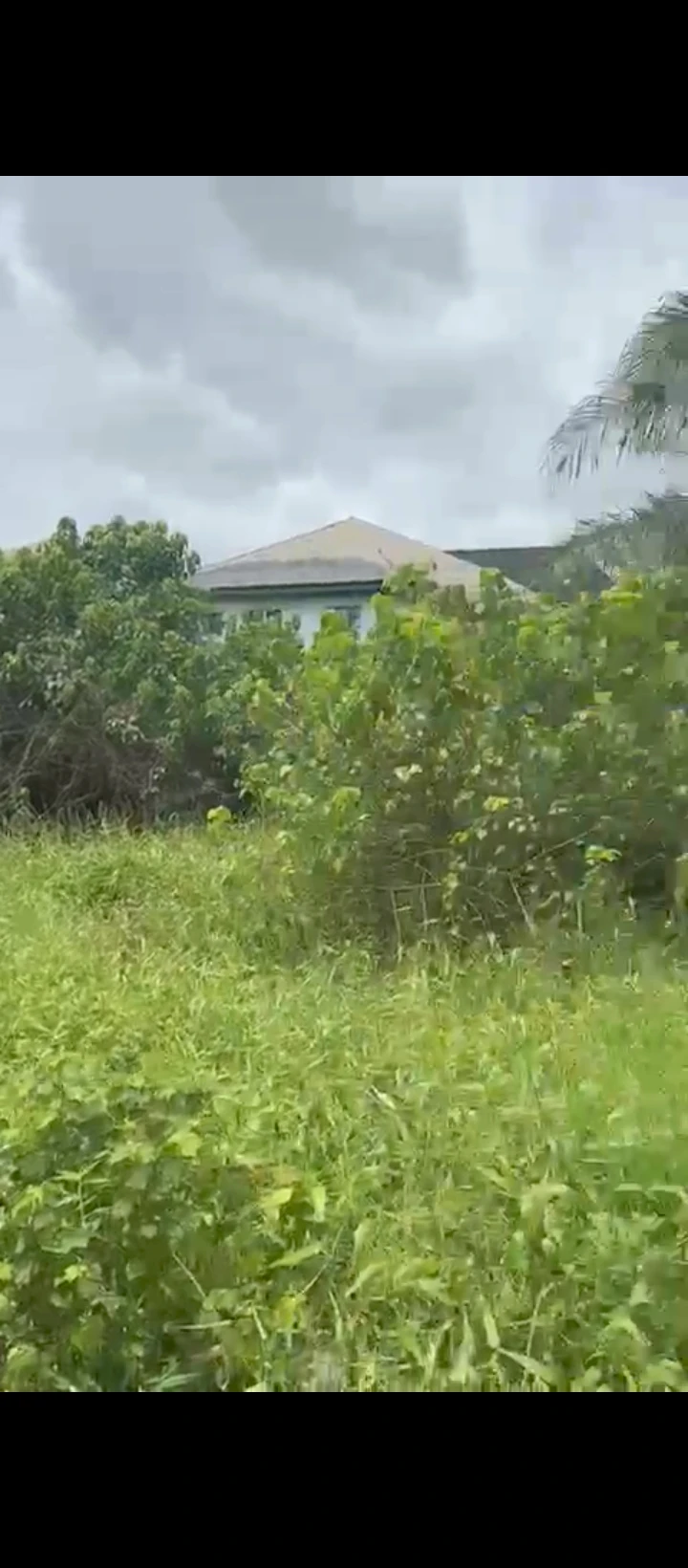 property cover photo