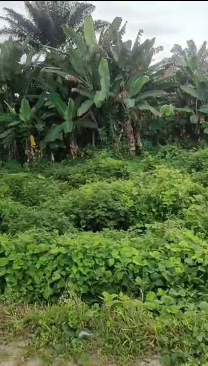 property cover photo