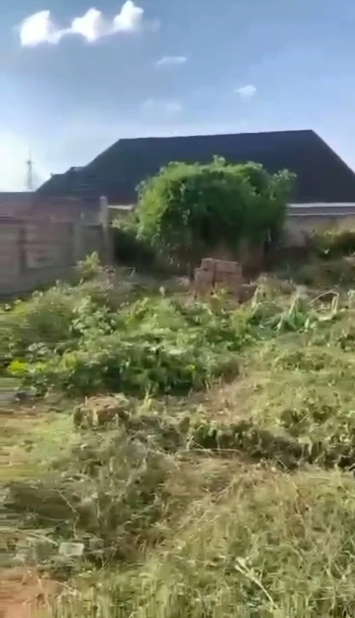 property cover photo