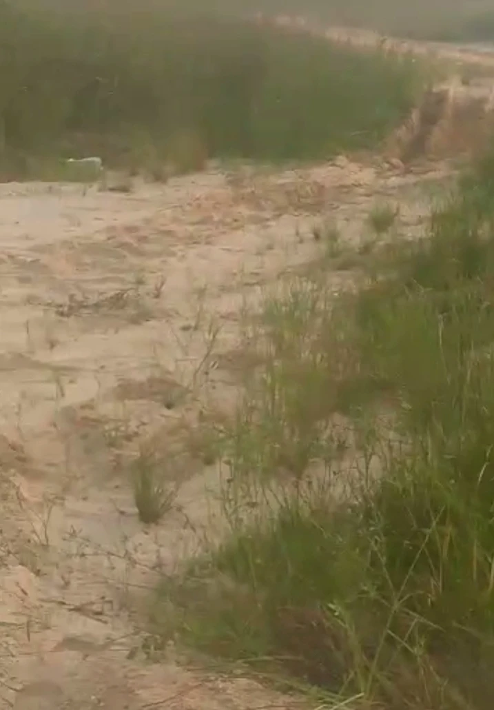 property cover photo