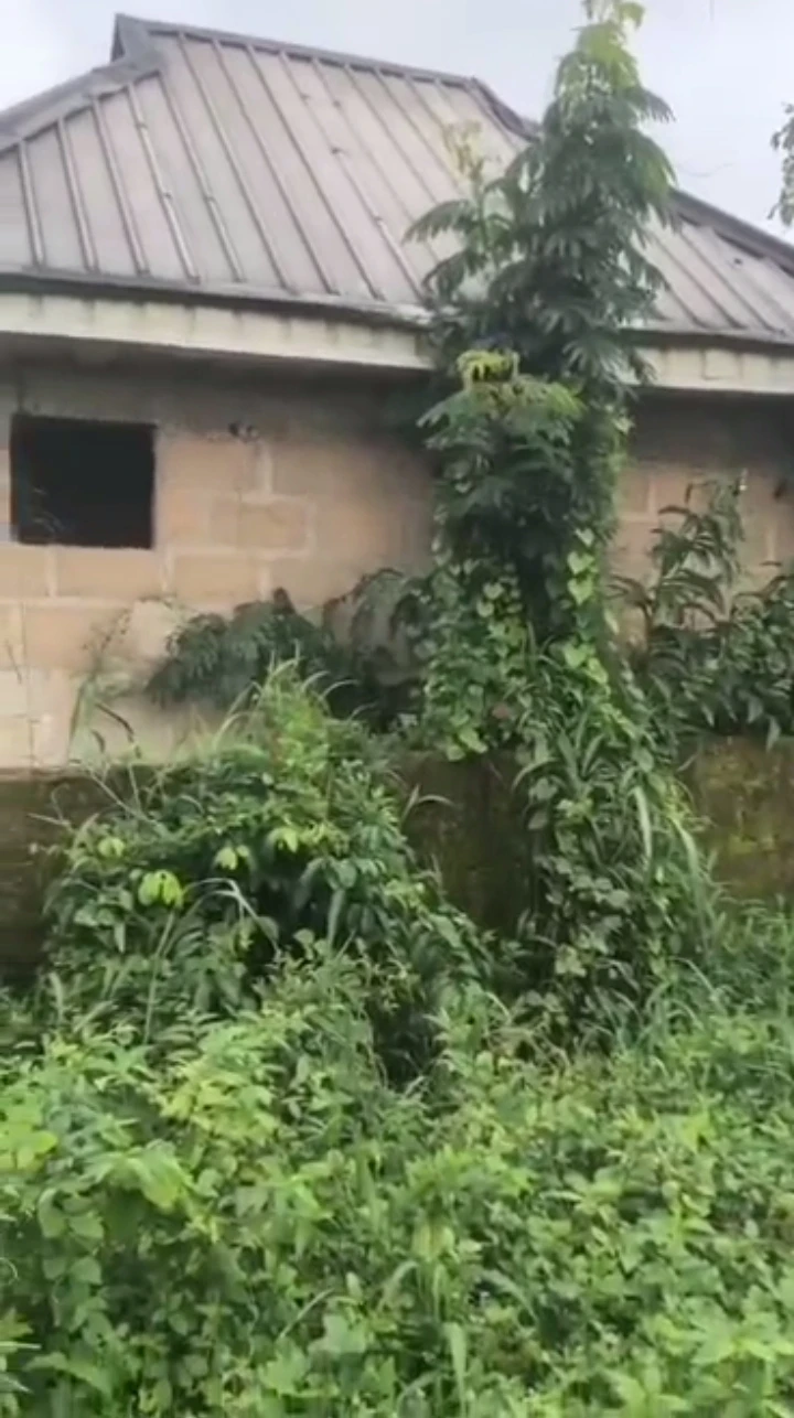 Land for Sale in Ekehuaw road, Edo cover picture