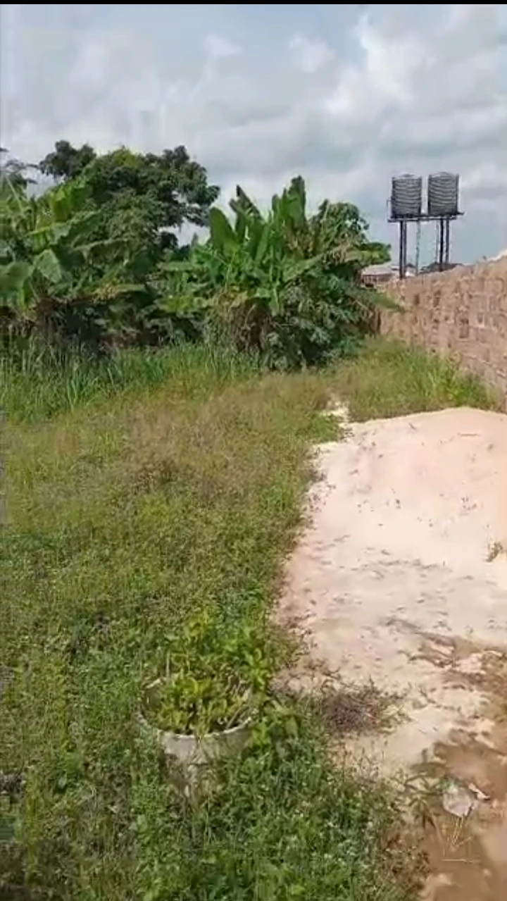 Land for Sale in Amagba, Edo cover picture