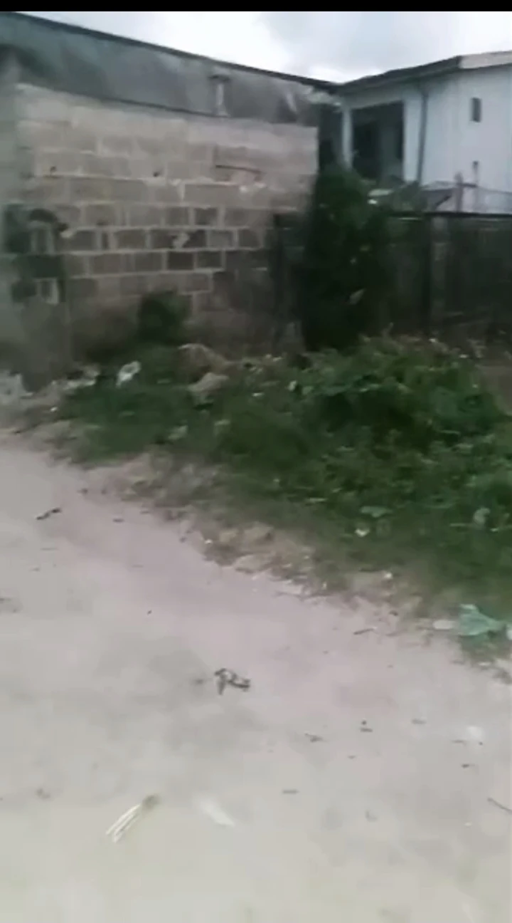 property cover photo