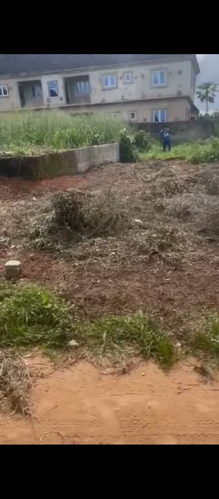 Land for Sale in Ogheghe community, Edo cover picture
