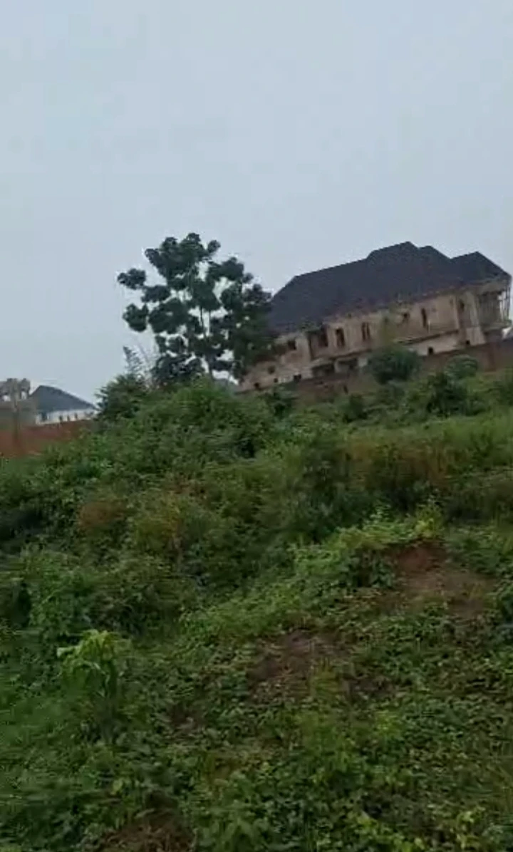 Land for Sale in Amagba, Edo cover picture