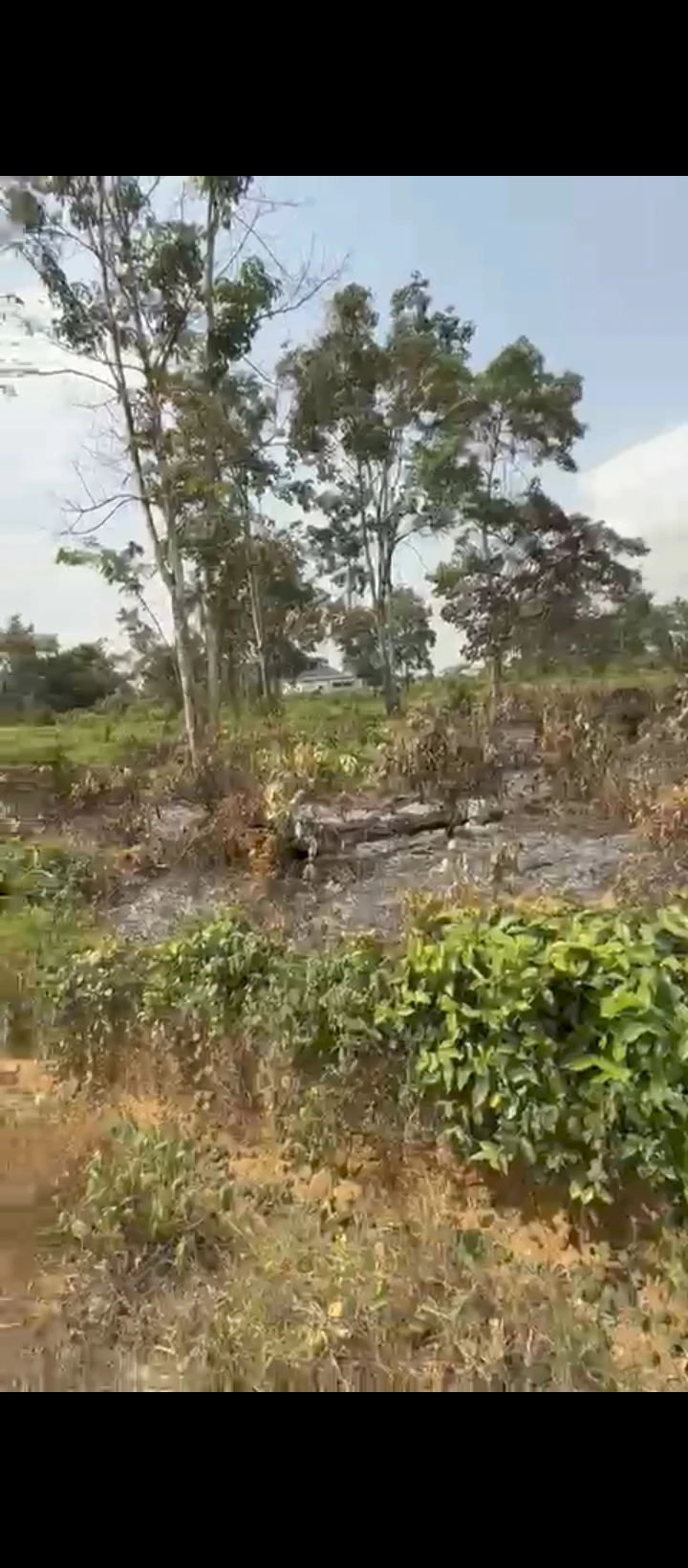 property cover photo