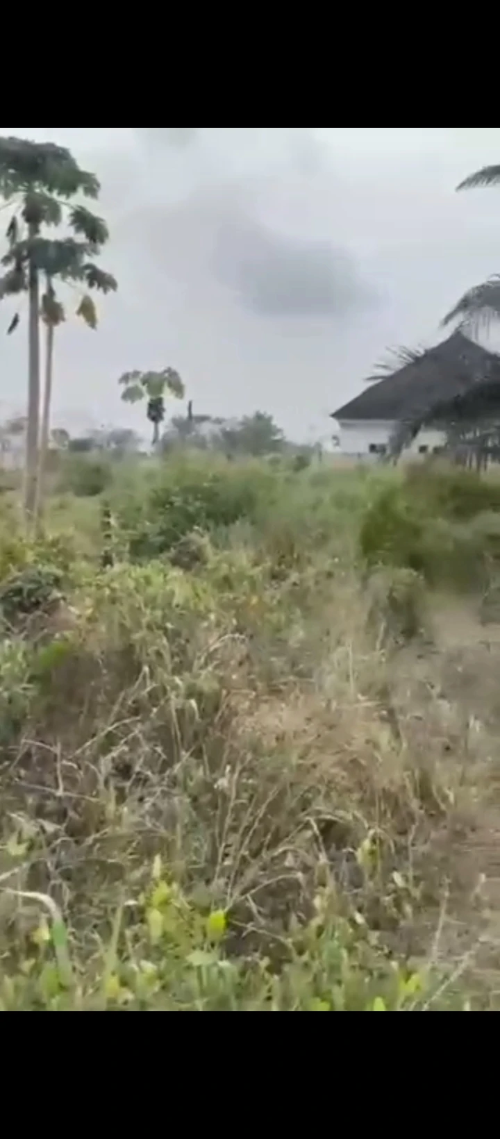 Land for Sale in Iyanomo community sapele road, Edo cover picture