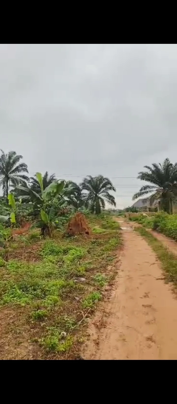 property cover photo