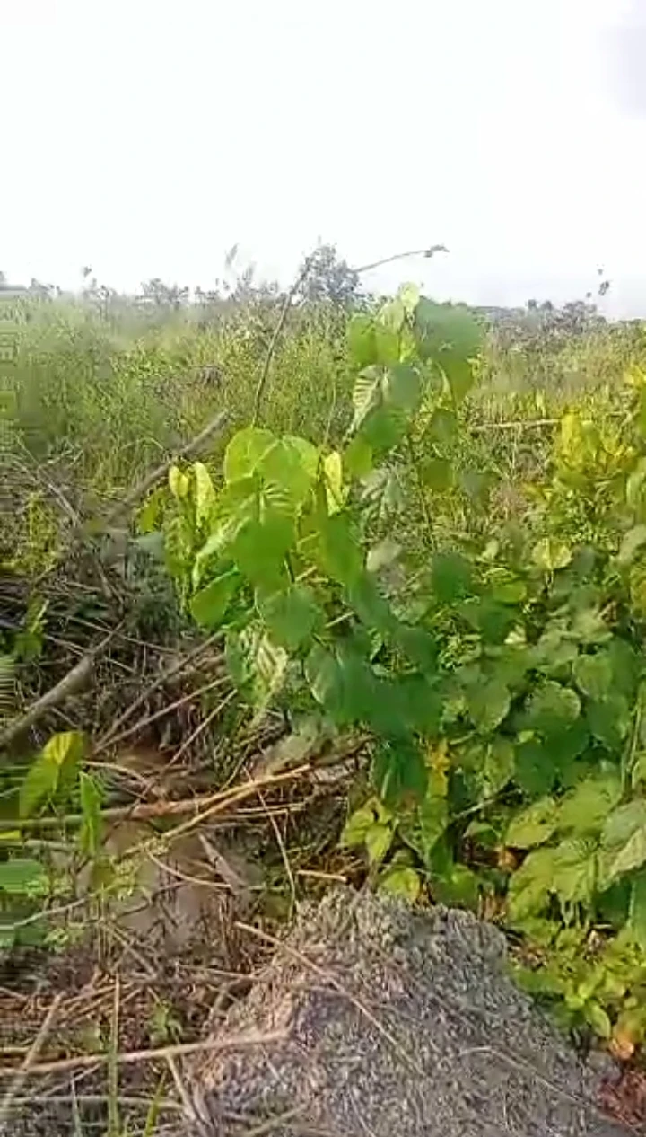 property cover photo