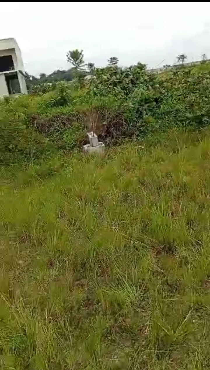 property cover photo