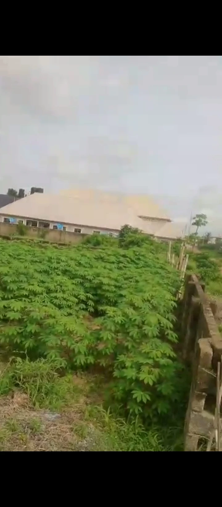 Land for Sale in Amagba, Edo cover picture