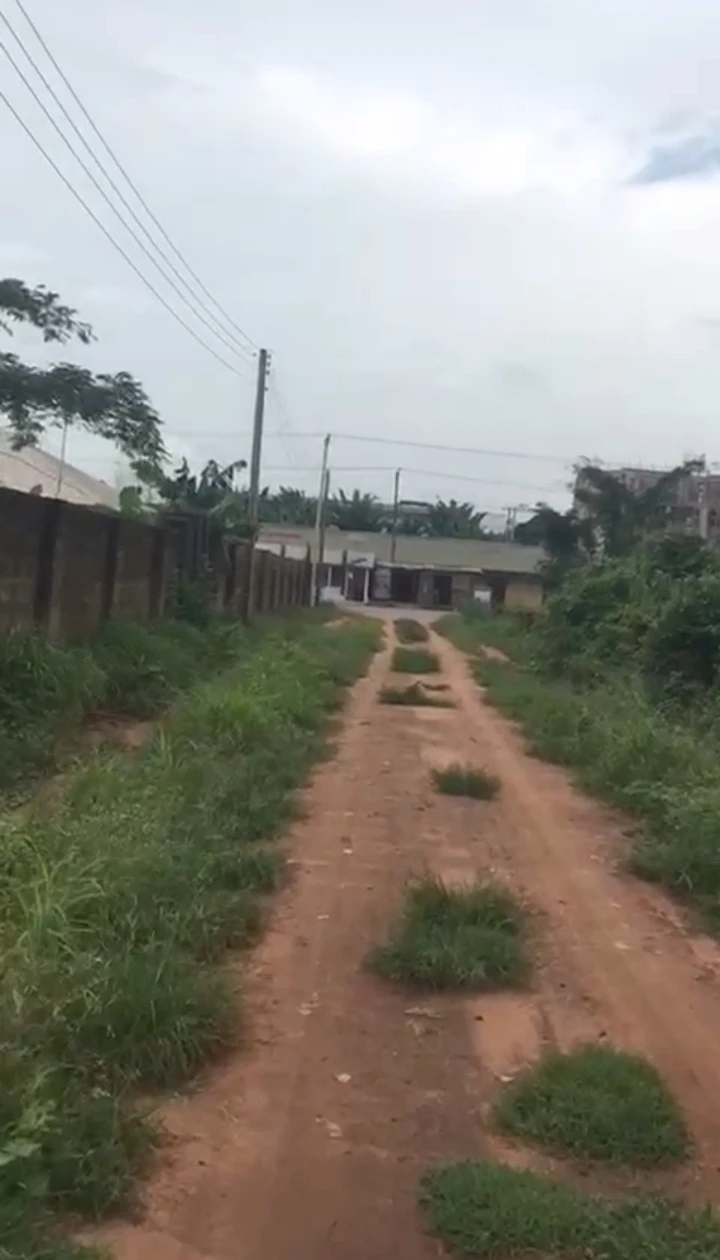 Land for Sale in Egbirhe egor, Edo cover picture