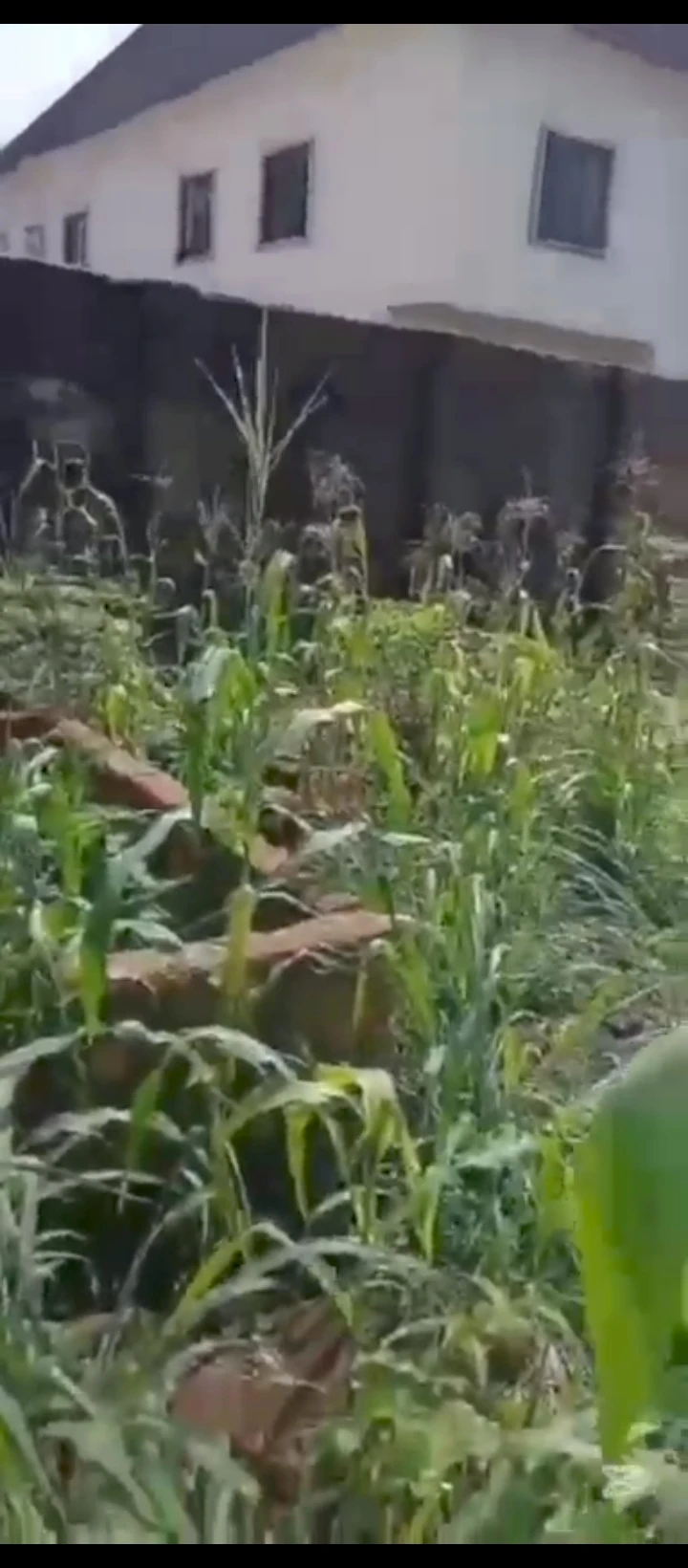 property cover photo