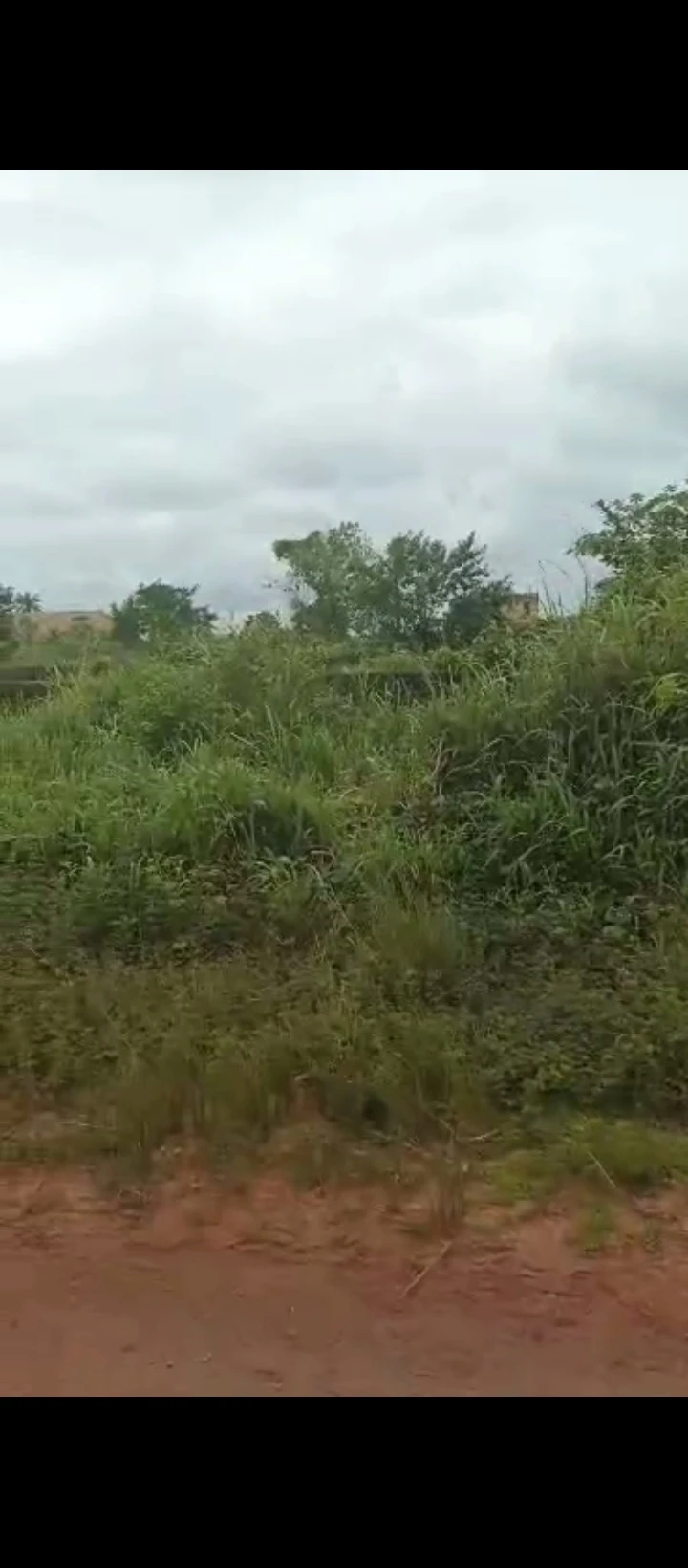 Land for Sale in Obagie road, Edo cover picture