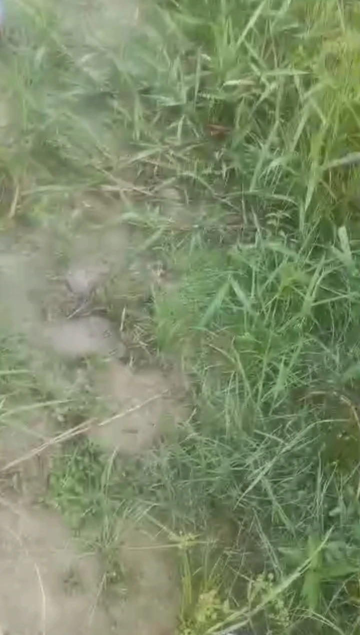 property cover photo