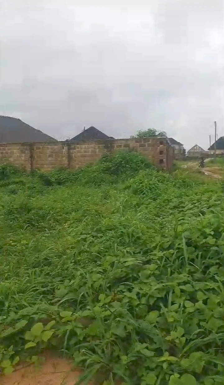 Land for Sale in Okhouromi, Edo cover picture