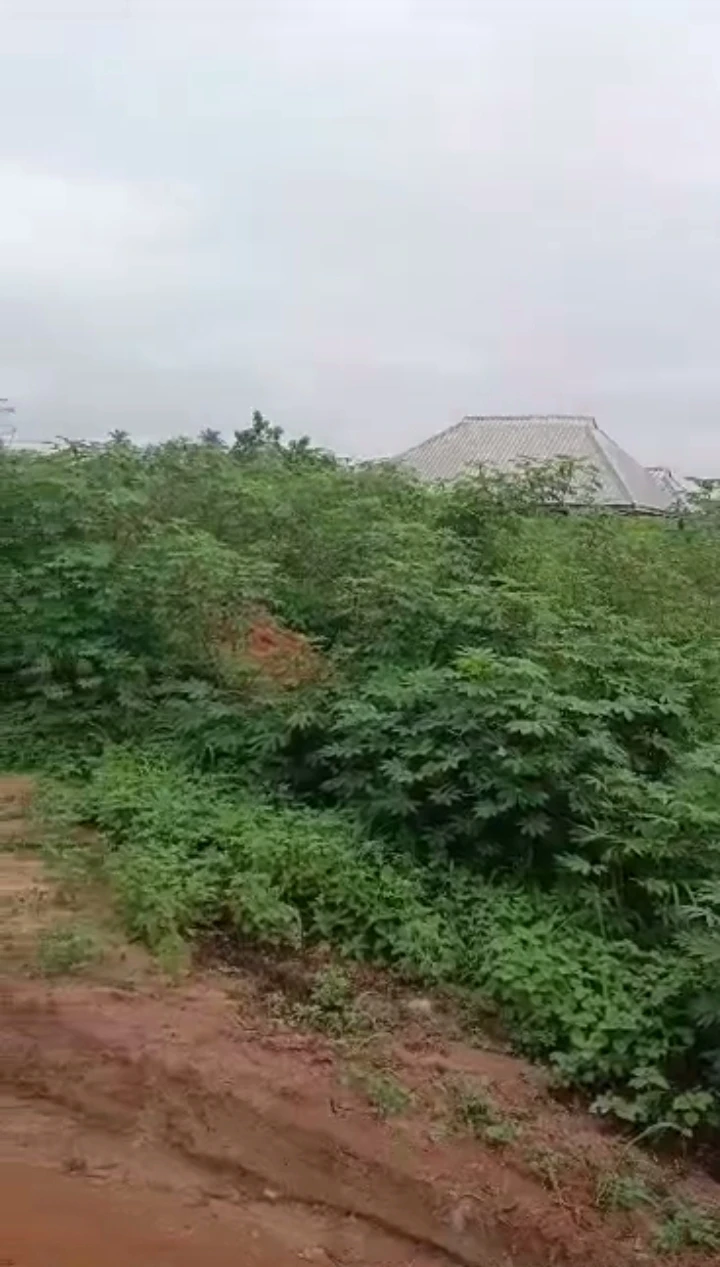 property cover photo