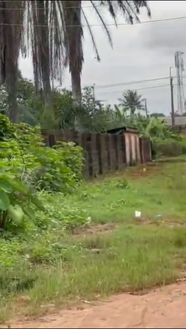 Land for Sale in Satanna market off sapele road, Edo cover picture