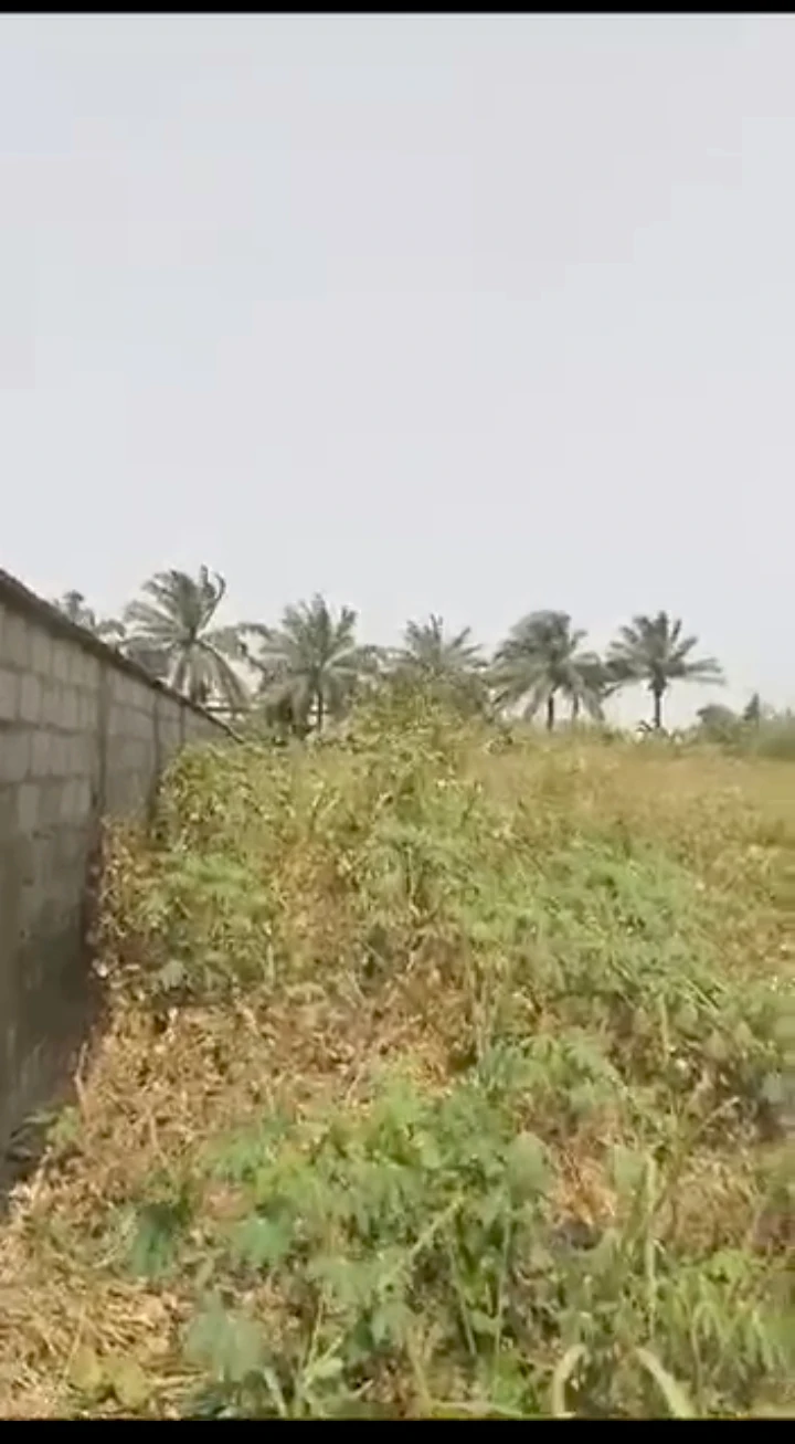 Land for Sale in Oluku, Edo cover picture