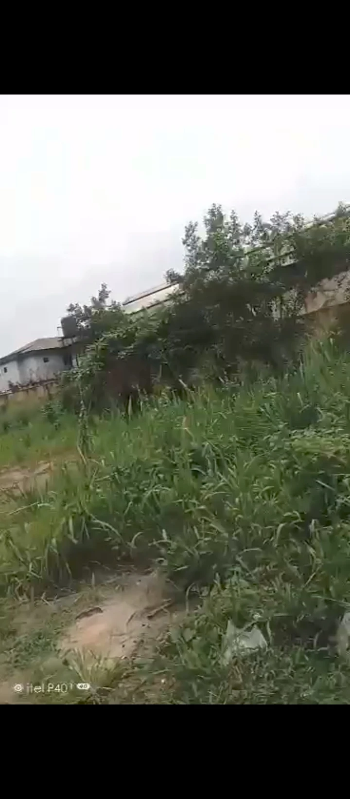 Land for Sale in Ikhueniro, Edo cover picture