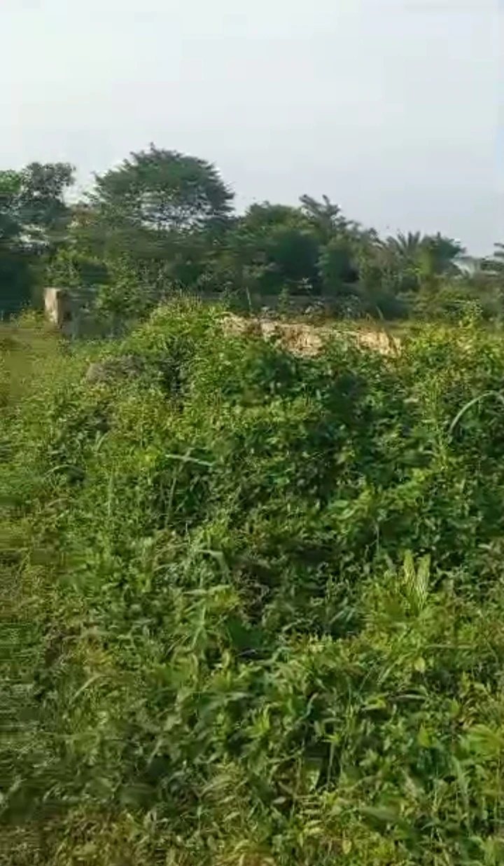 property cover photo