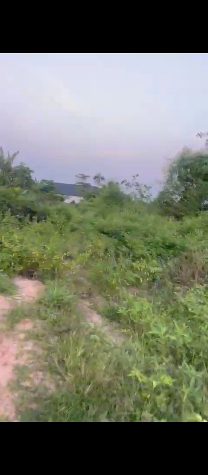 Land for Sale in Obagie road, Edo cover picture