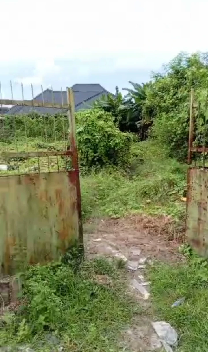 Land for Sale in Orhobo college, Delta cover picture