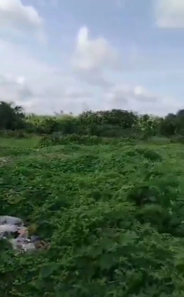 property cover photo