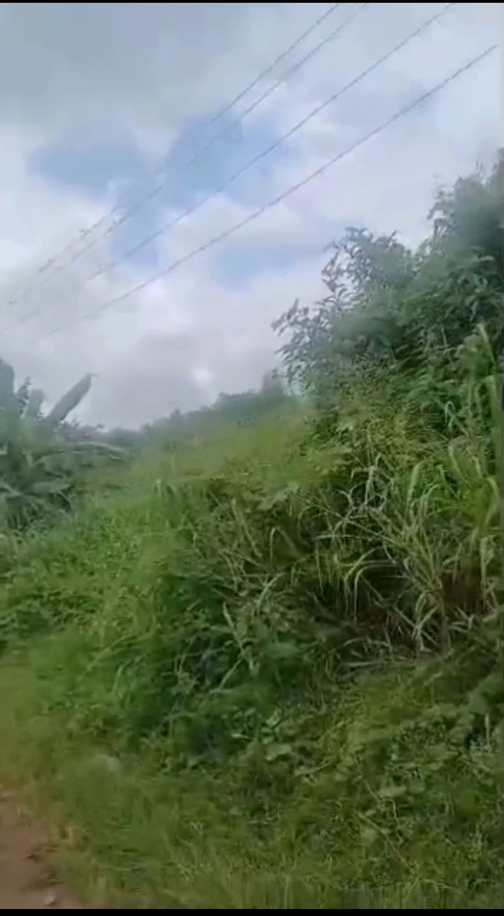 property cover photo