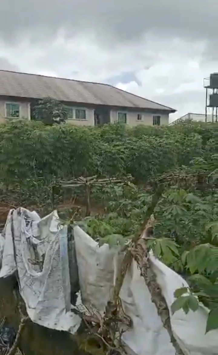 property cover photo