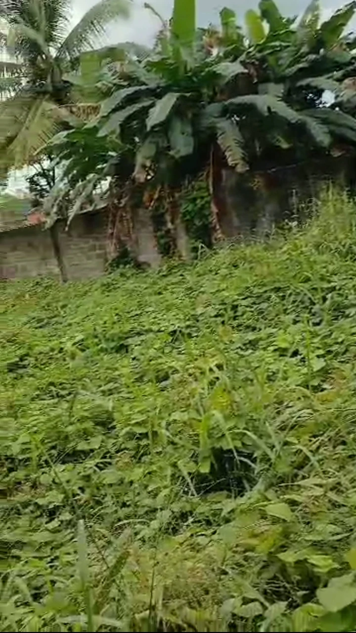 property cover photo