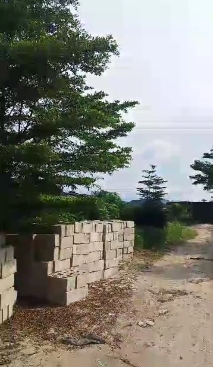 property cover photo