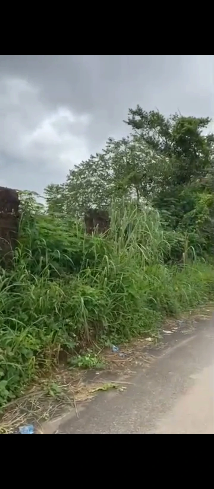 Land for Sale in Ugbor, Edo cover picture