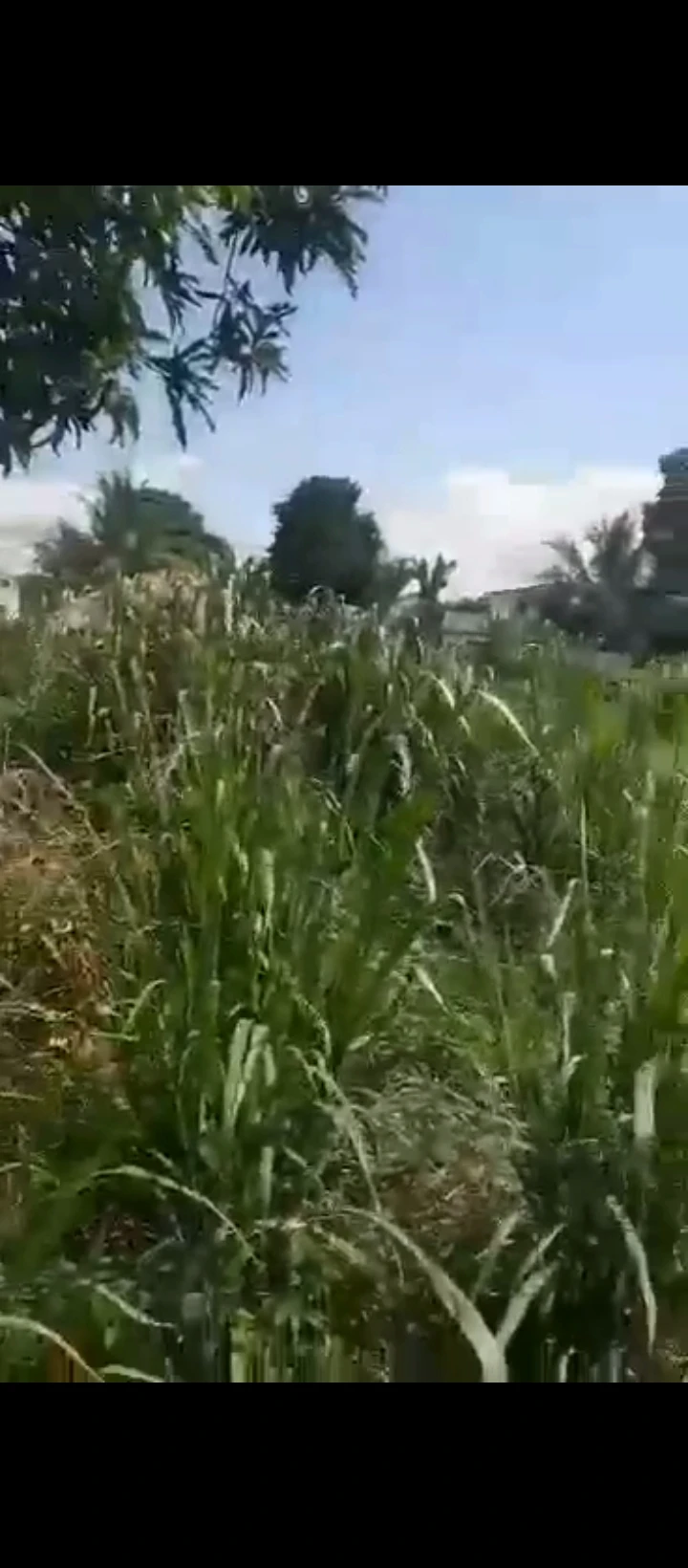 Land for Sale in IYEKOGBA IRIRI, Edo cover picture