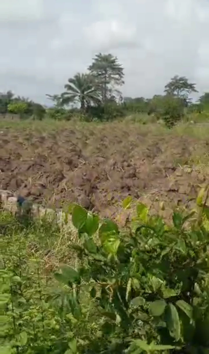 property cover photo