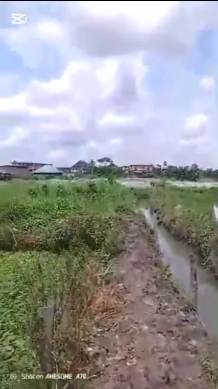 Land for Sale in off NNPC complex road by ufuoma street., Delta cover picture