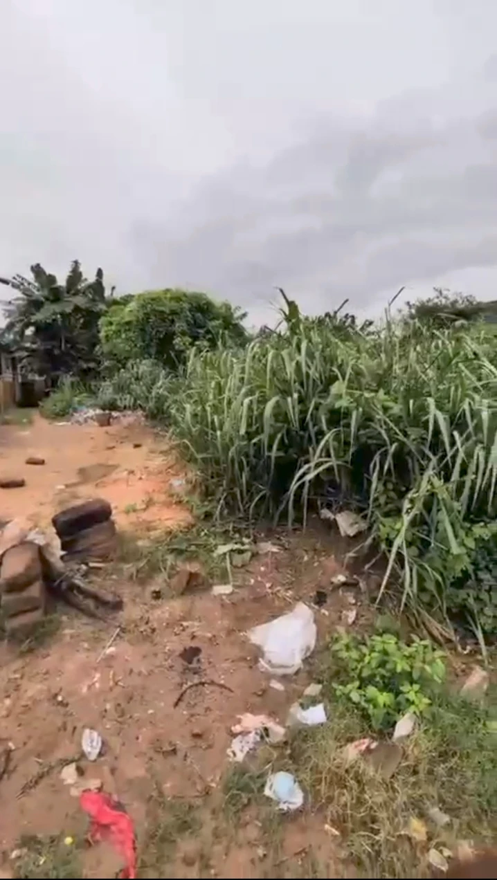 property cover photo