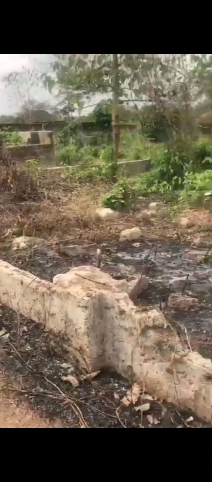 Land for Sale in Arougba, Edo cover picture