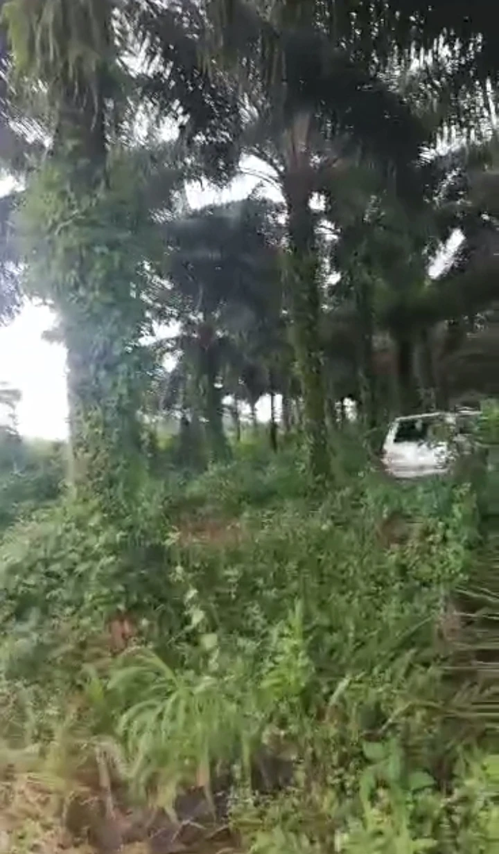 property cover photo