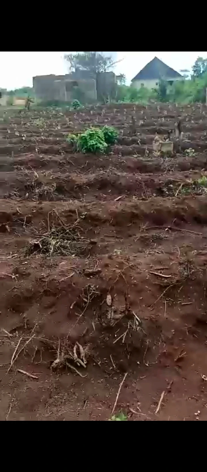 Land for Sale in Ahor off Auchi road Benin bypass, Edo cover picture