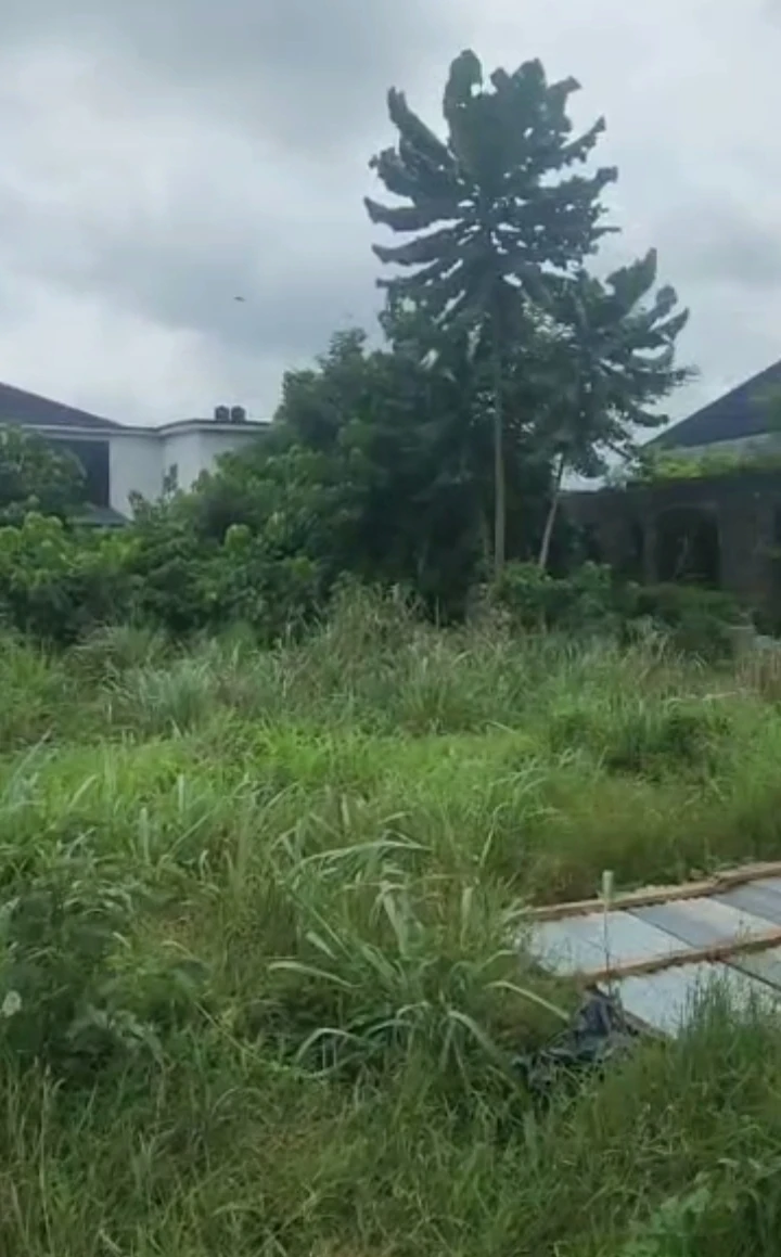 property cover photo