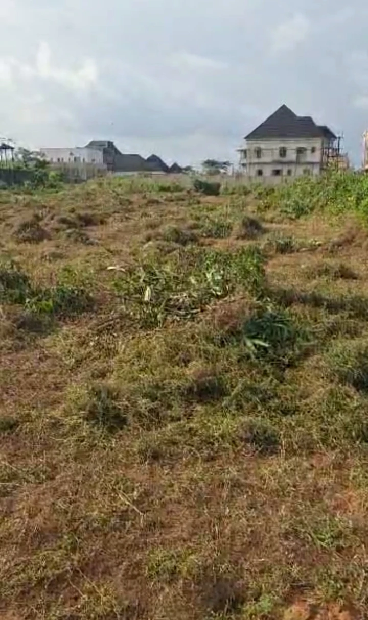 property cover photo