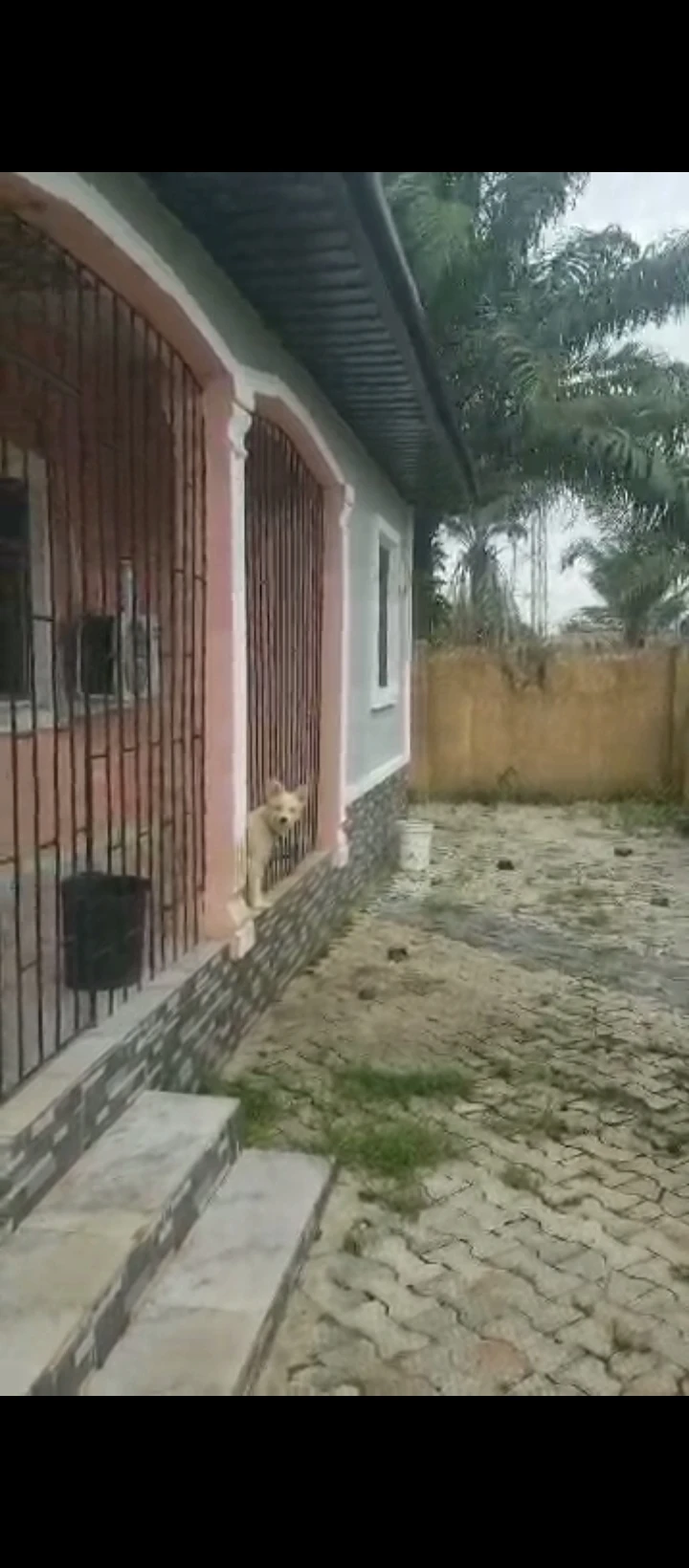 property cover photo