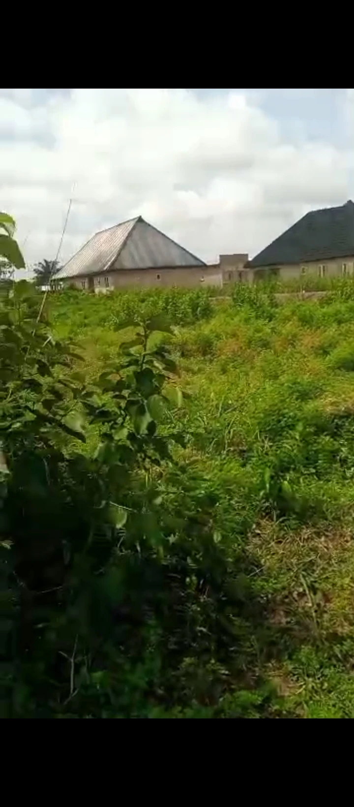 property cover photo