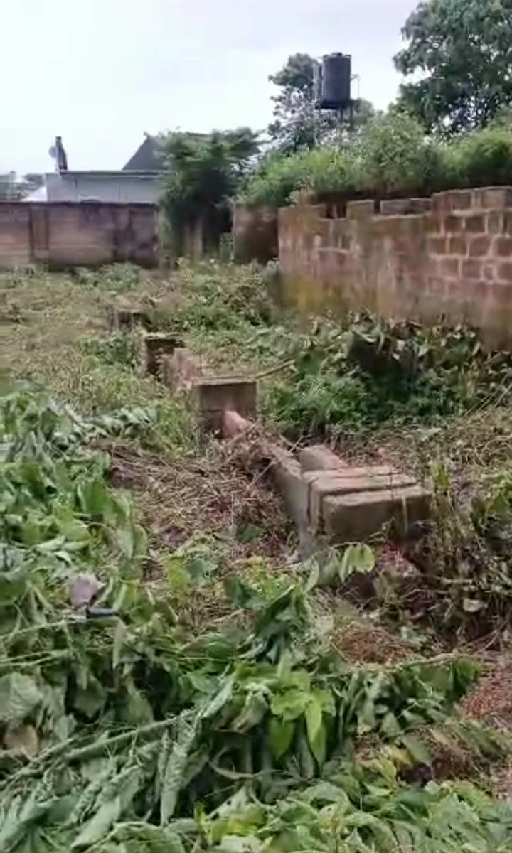 property cover photo