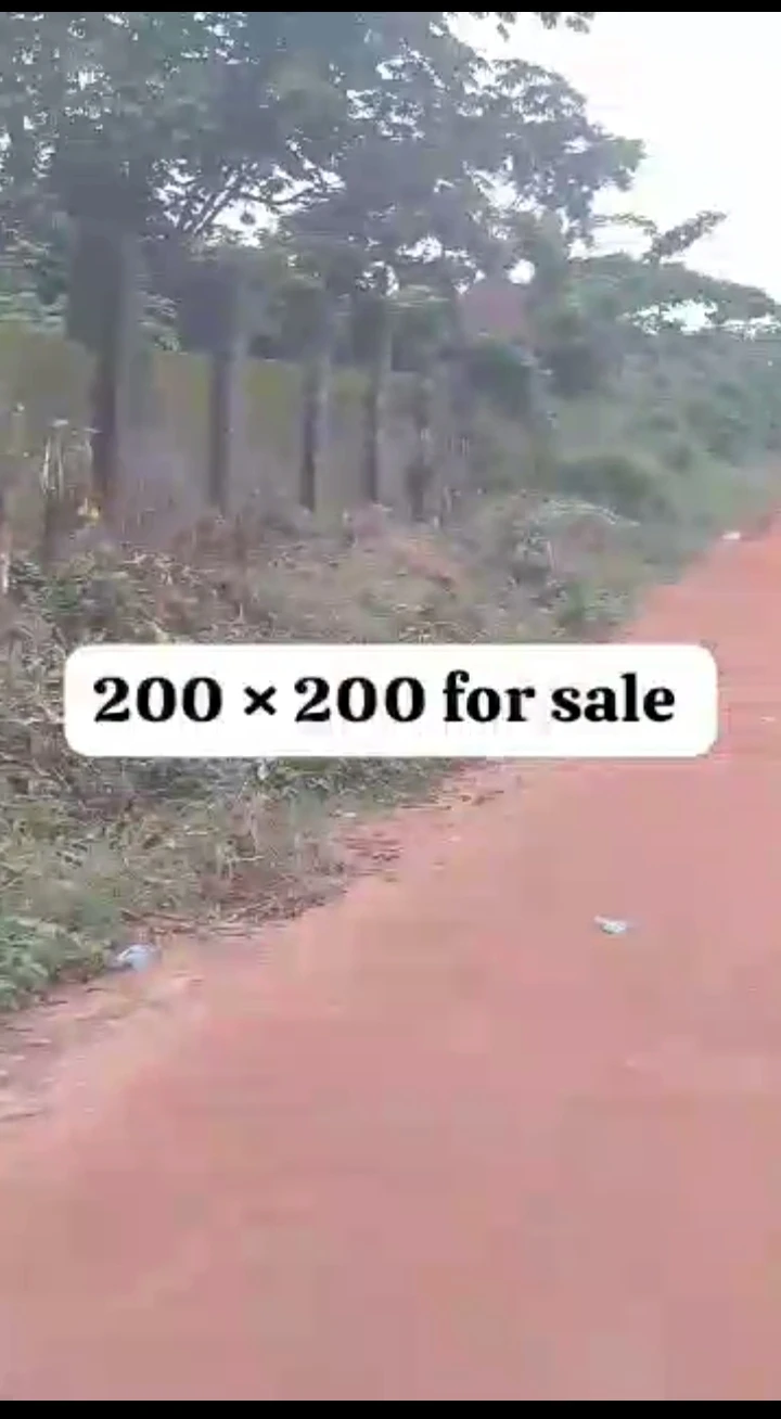 Land for Sale in Amagba, Edo cover picture